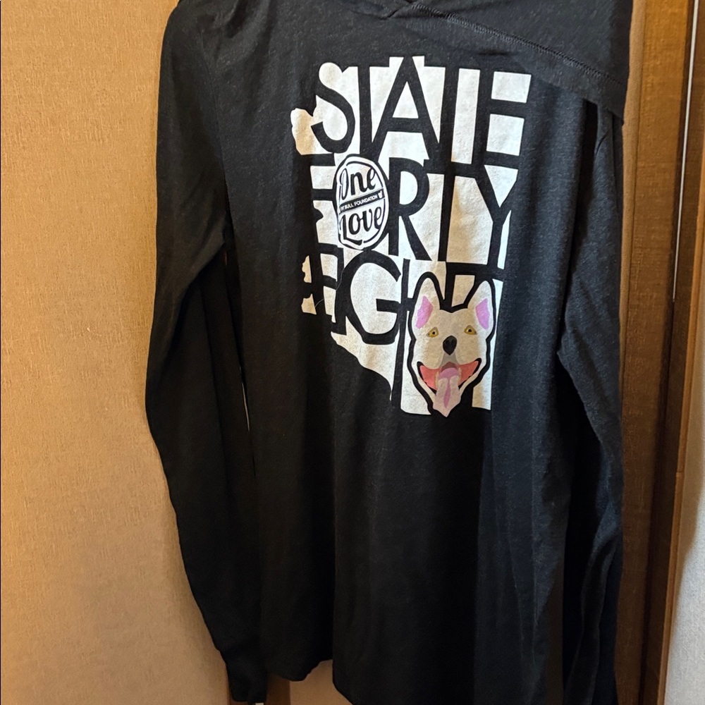 Bella Canvas Graphic t shirt Hoodie large